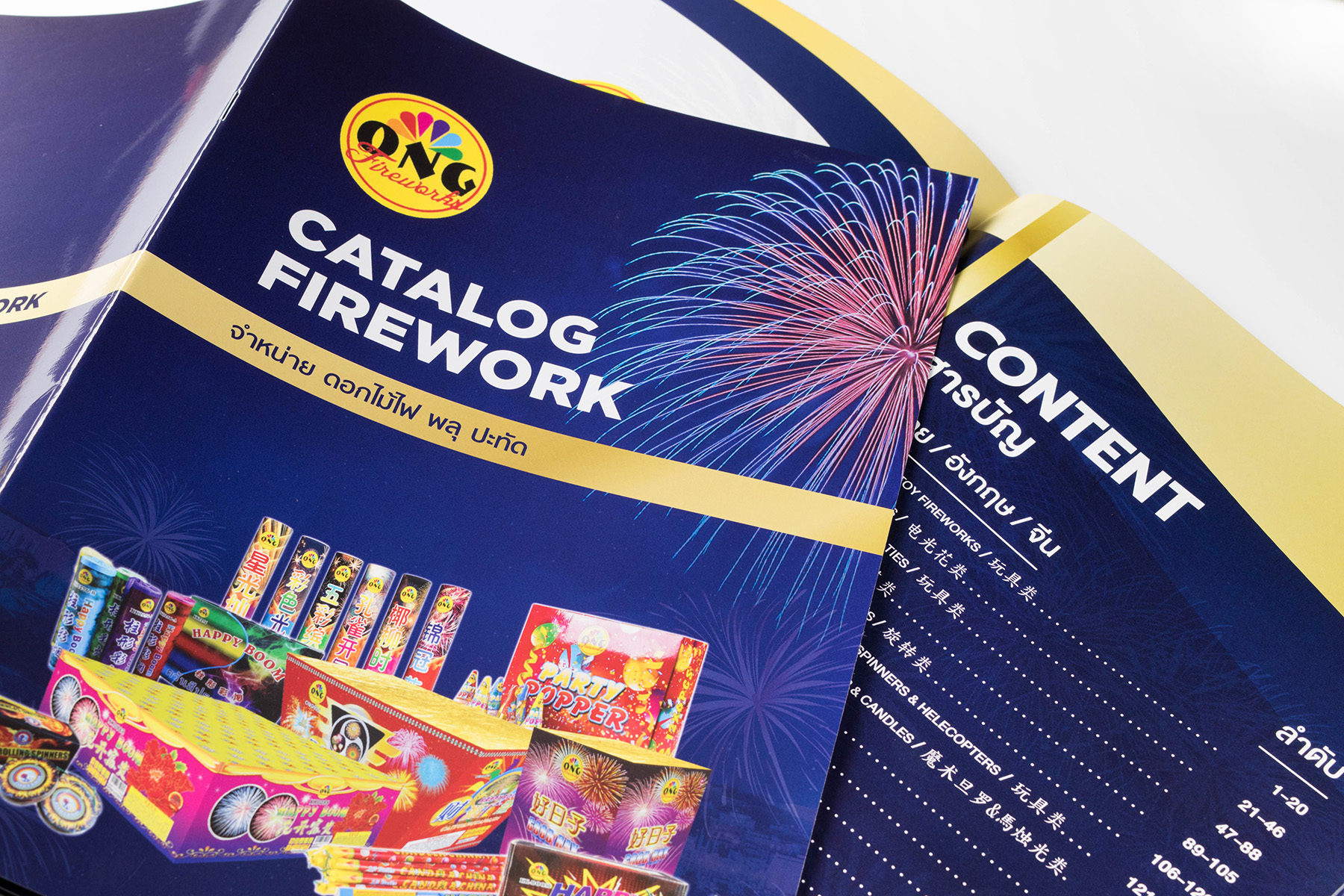 Catalog ONG2018